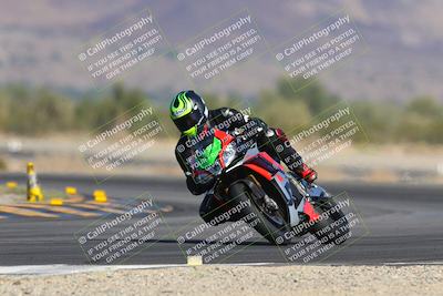 media/Nov-12-2023-SoCal Trackdays (Sun) [[5d1fba4e7d]]/Turn 14 (1035am)/